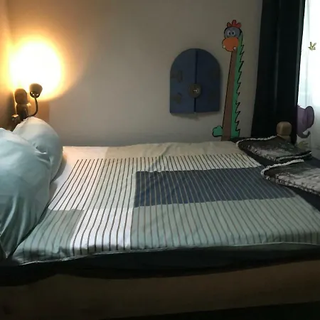 Cozy House * 클루지나포카